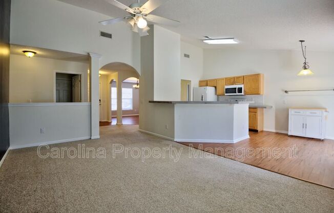 13343 ARBOR MDWS CT