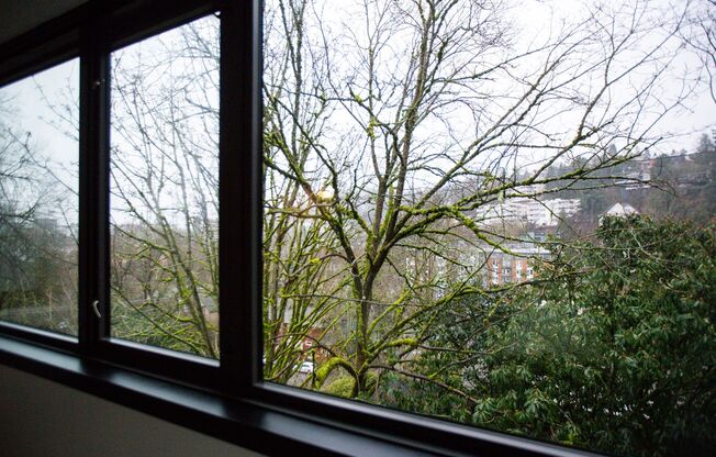 Goose Hollow 1 Bedroom Available Now !