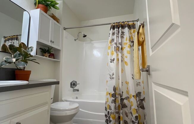 1 bed, 1 bath, 900 sqft, $2,022, Unit 381-35