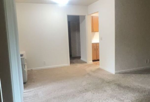 1 bed, 1 bath, 725 sqft, $970, Unit R01 Annex