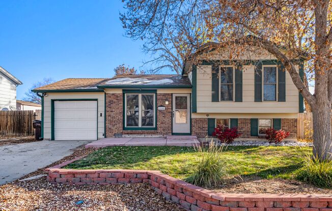 3 Bed, 1.5 Bath Home Available Now in Broomfield!