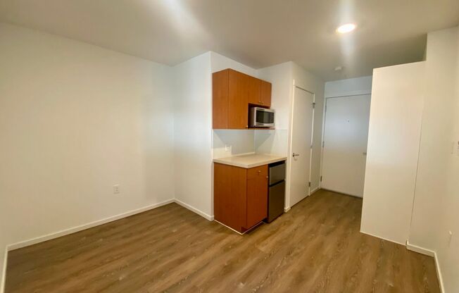 Studio, 1 bath, 176 sqft, $1,225, Unit 4210