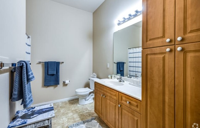 a bathroom with a toilet and a sink and a mirror