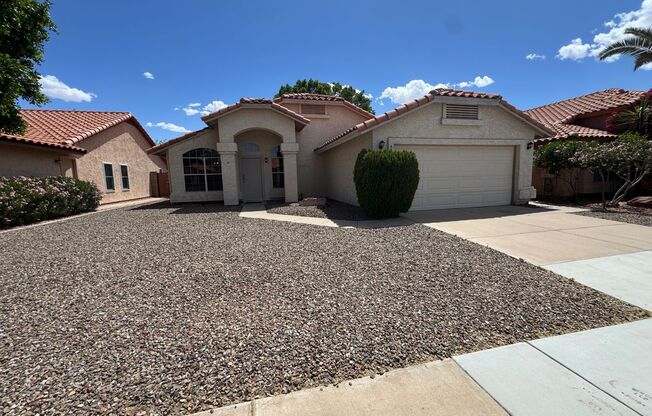 Beautiful & Cozy Chandler Home!
