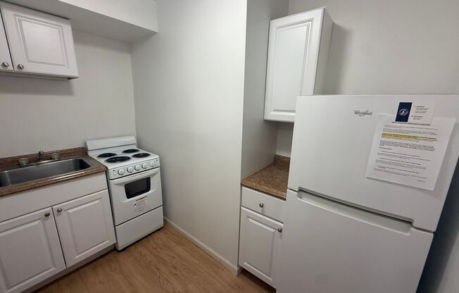 Studio, 1 bath, 295 sqft, $1,250, Unit Old King Edward 171