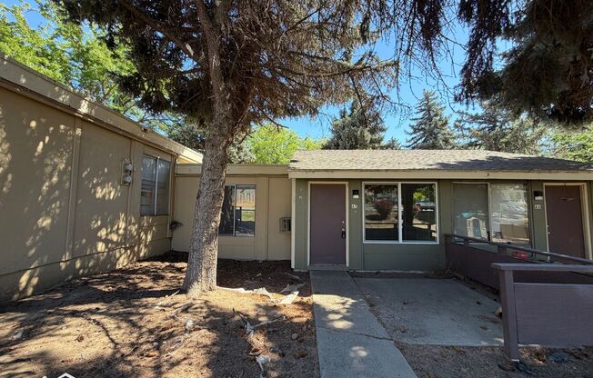 1 bed, 1 bath, 509 sqft, $775, Unit A05