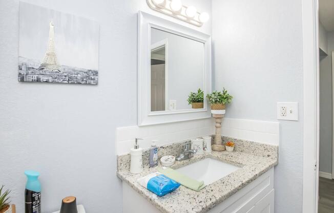 A modern bathroom with a light gray wall, featuring a mirror with a light fixture above a granite countertop. Thereâs a sink with soap dispensers, a small potted plant, and a blue cleaning cloth. An Eiffel Tower photograph hangs on the wall, adding a decorative touch to the space.