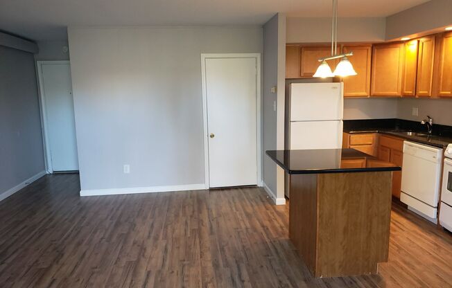 Studio, 1 bath, $1,350, Unit LL - 005