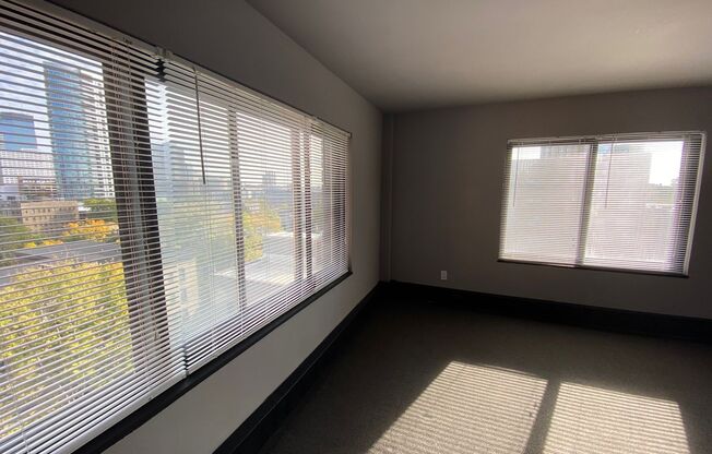 Studio, 1 bath, 352 sqft, $1,045, Unit 316-702