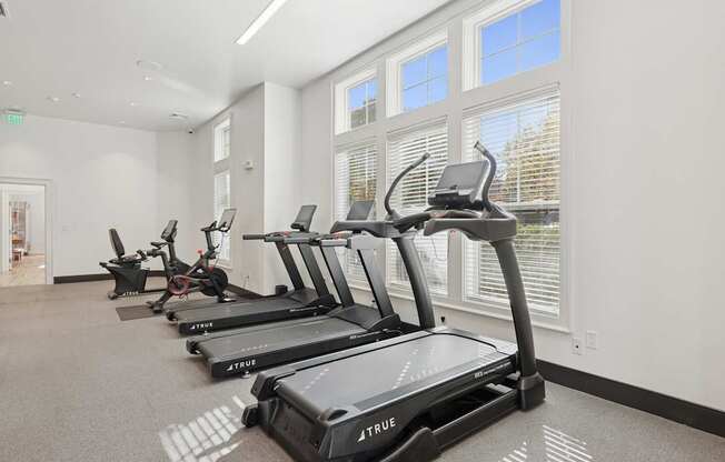 A row of treadmills are lined up in a gym.