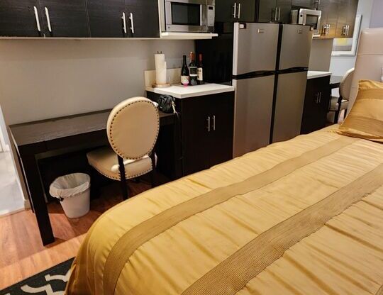 Studio, 1 bath, 450 sqft, $2,200, Unit 101