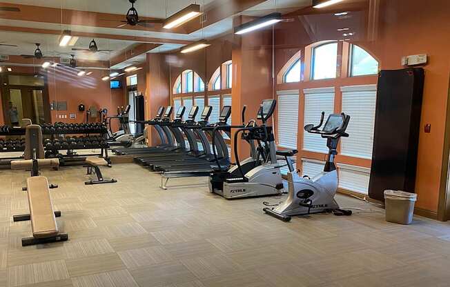 a gym with treadmills and ellipticals