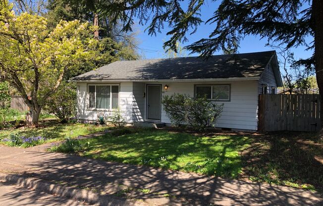 Charming 2 bed 1 bath house in a great neighborhood!