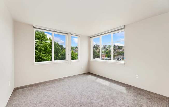 A room with two windows and carpeted floor.