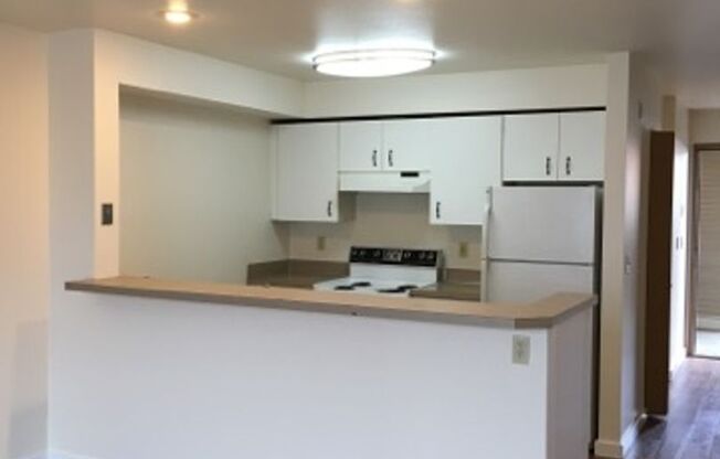 2 beds, 1 bath, 681 sqft, $2,295, Unit 1509-402