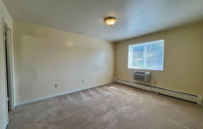 1 bed, 1 bath, $925, Unit 203