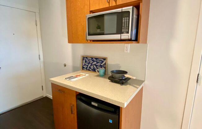 Studio, 1 bath, 175 sqft, $1,450, Unit 1301