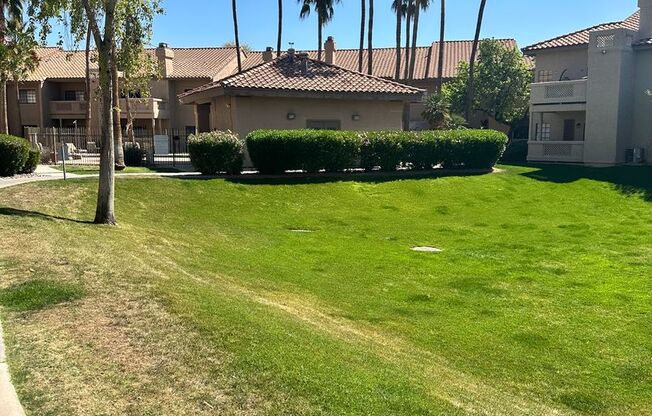 2 beds, 2 baths, $1,295