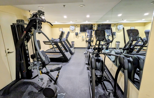 1 bed, 1 bath, 975 sqft, $2,800, Unit 9