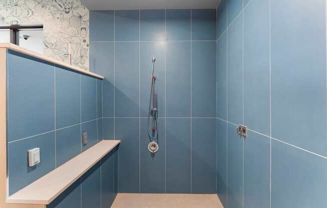 A blue tiled bathroom with a white bench and a shower head.