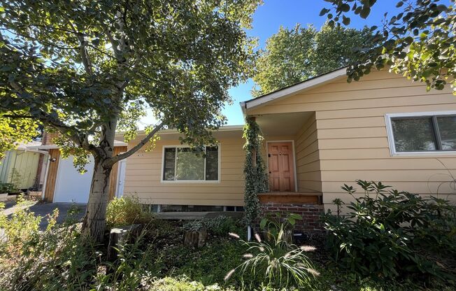 Light-Filled Home with Open Layout, Modern Kitchen, and Private Outdoor Oasis