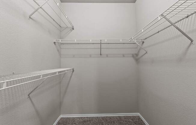 Empty walk-in closet with shelves and carpeted floor.