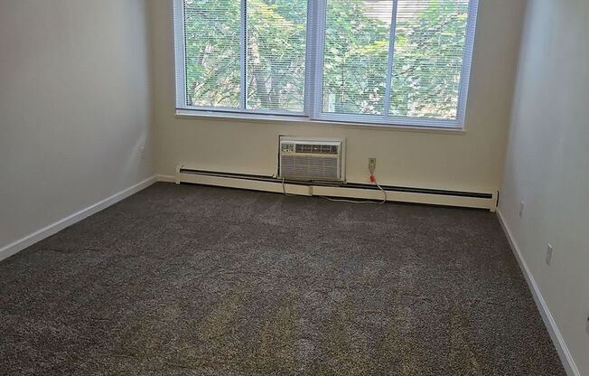 1 bed, 1 bath, 485 sqft, $1,005, Unit 209