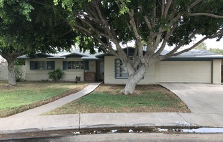 Great 3 Bedroom Home In Downtown Mesa Neighborhood