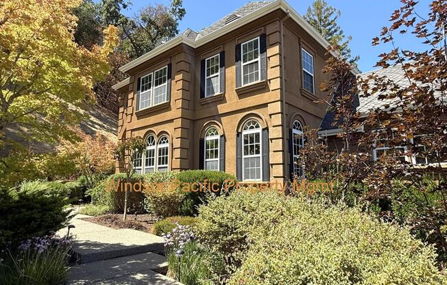 NEW PRICE ! Westside Alamo Custom Estate With Beautiful Wooded Views !