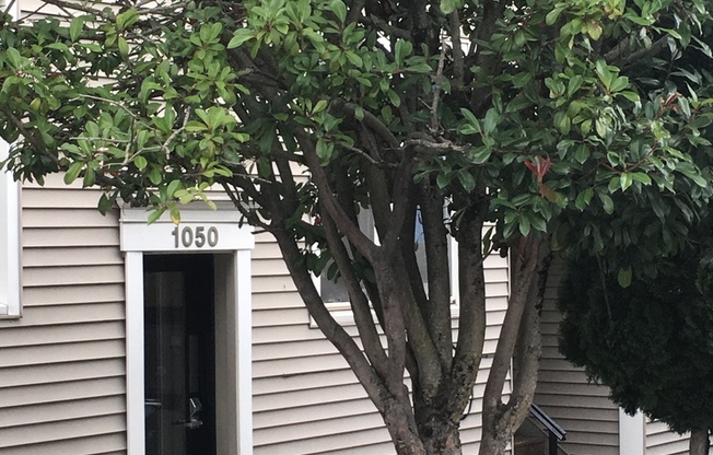 Woodland Residential