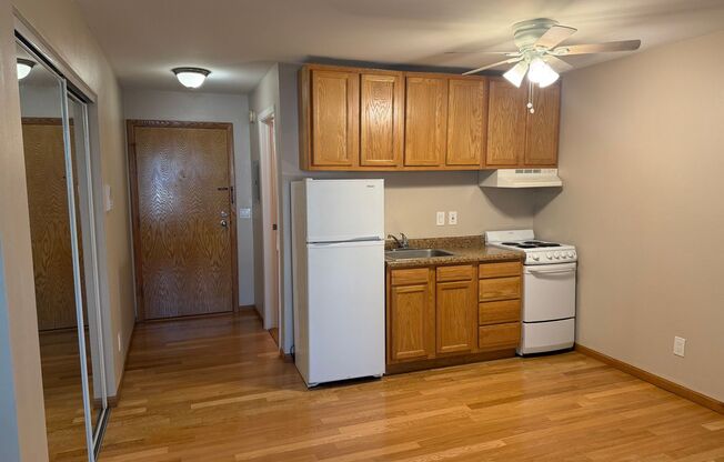 Studio, 1 bath, 350 sqft, $1,100, Unit Unit 109