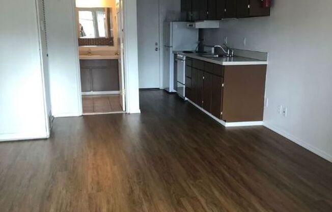 Studio, 1 bath, $995