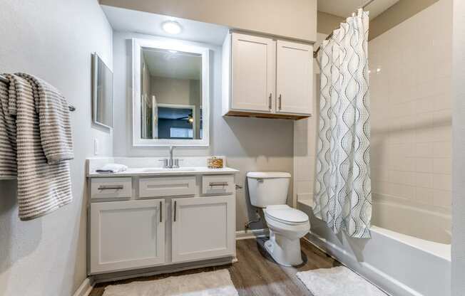 a bathroom with a toilet sink and shower and a mirror