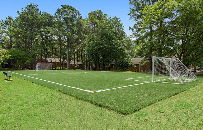 Turf soccer field surrounded by real grass