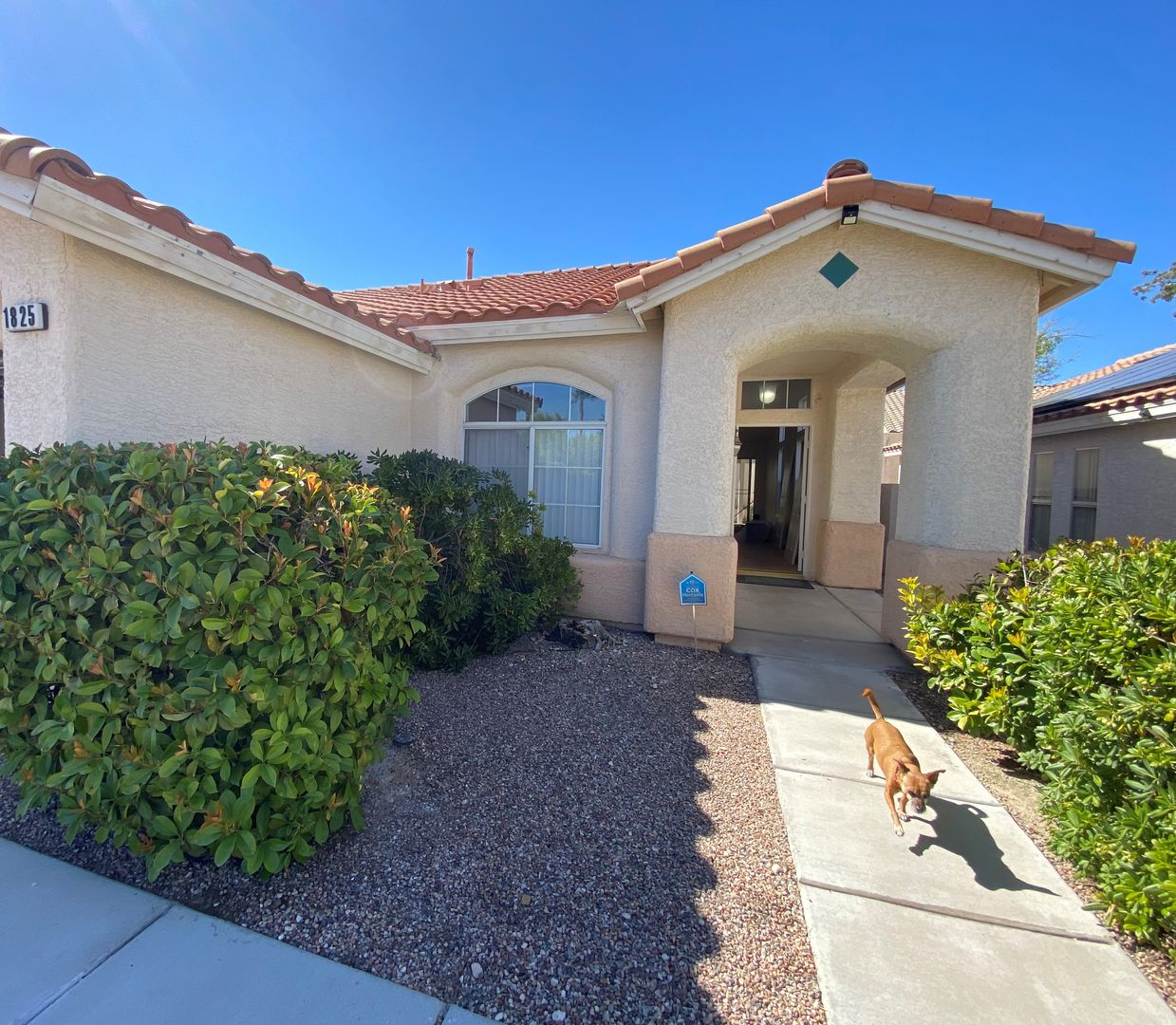 RARE SINGLE-STORY SUMMERLIN HOME. 2/2 + Den.