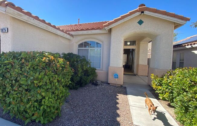 RARE SINGLE-STORY SUMMERLIN HOME. 2/2 + Den.