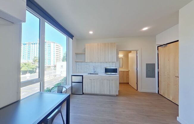 Studio, 1 bath, 314 sqft, $1,225, Unit 201