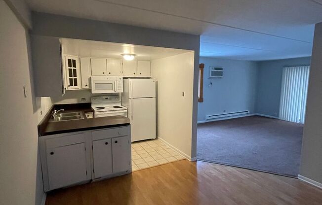 1 bed, 1 bath, 700 sqft, $1,250, Unit 101