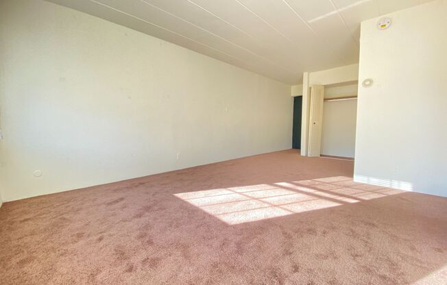 1 bed, 1 bath, 700 sqft, $825, Unit Apt. 3B