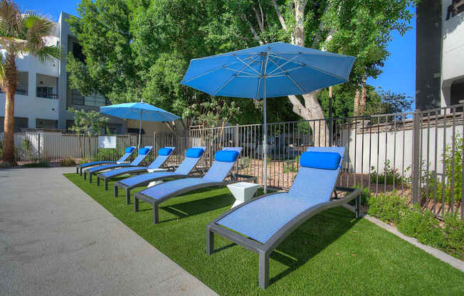 a row of lounge chairs and umbrellas on the grass at Vaseo Apartments, Phoenix, AZ 85022