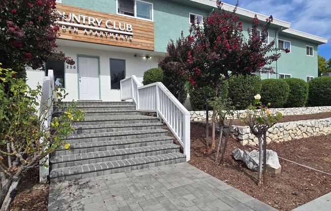 Spacious Downstairs Apartment, Fresh Paint, Quartz Counters, Stainless Steel Appliances, Pool, Parking!