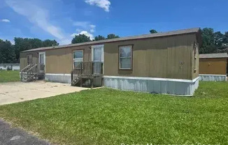 1313 BENDING BIRCH LN