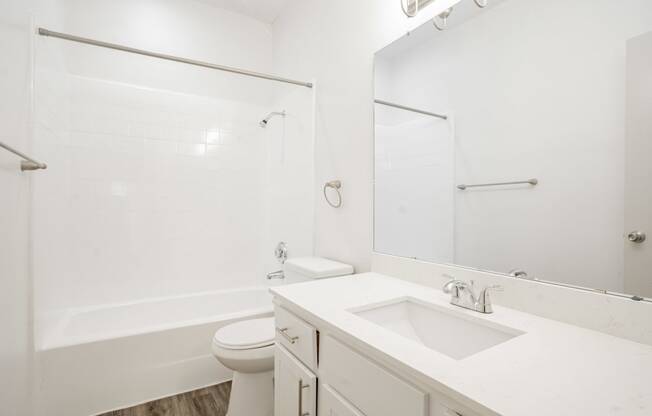 a bathroom with a sink and a toilet and a shower