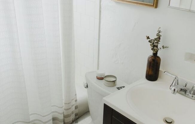 Studio, 1 bath, 500 sqft, $1,350, Unit 869-2