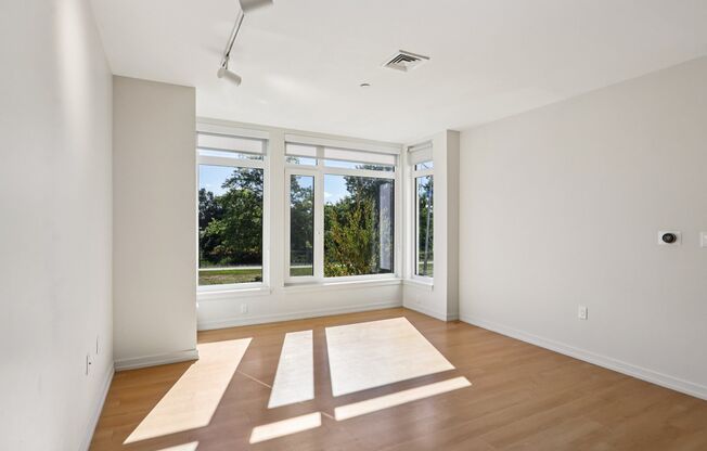 Living room with Ample of Sunlight at Park77 Apartments, Cambridge