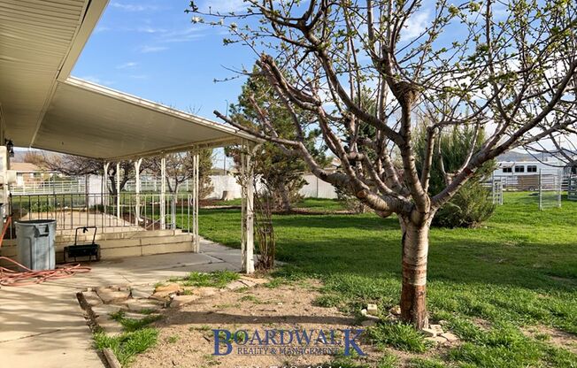 12506 S Janice Dr