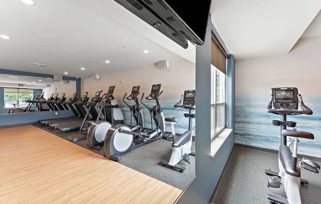 A gym with treadmills and elliptical machines.