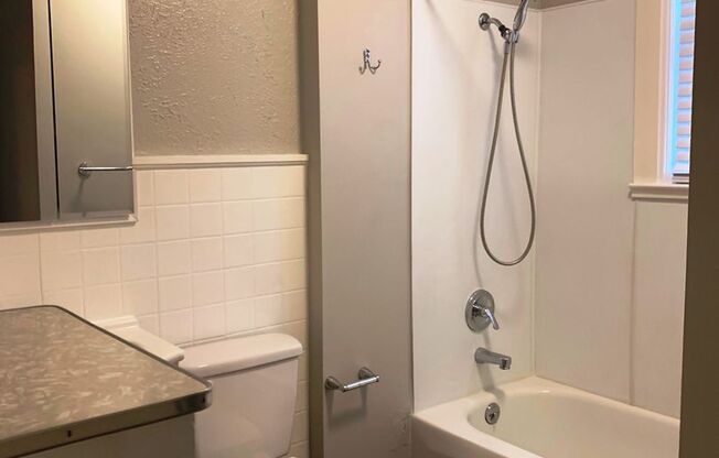 Studio, 1 bath, $850, Unit 02