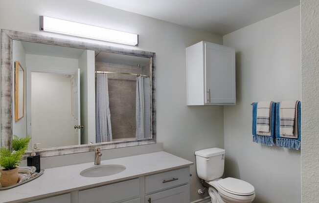 a bathroom with a sink toilet and mirror