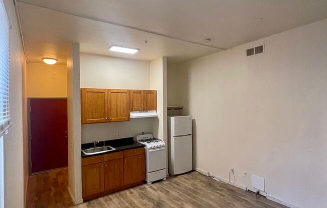 Studio, 1 bath, 400 sqft, $1,235, Unit 307